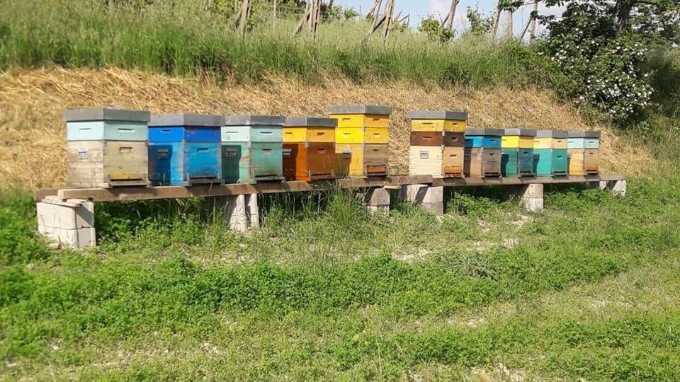 Agriturismo Il Colore Del Grano * San Vittore (Emilia-Romagna)